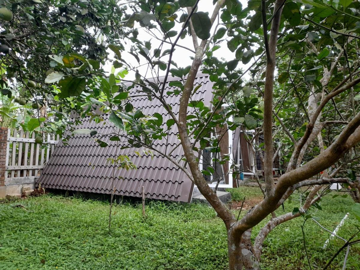 Tam Tinh Vien Homestay Хюе Екстер'єр фото