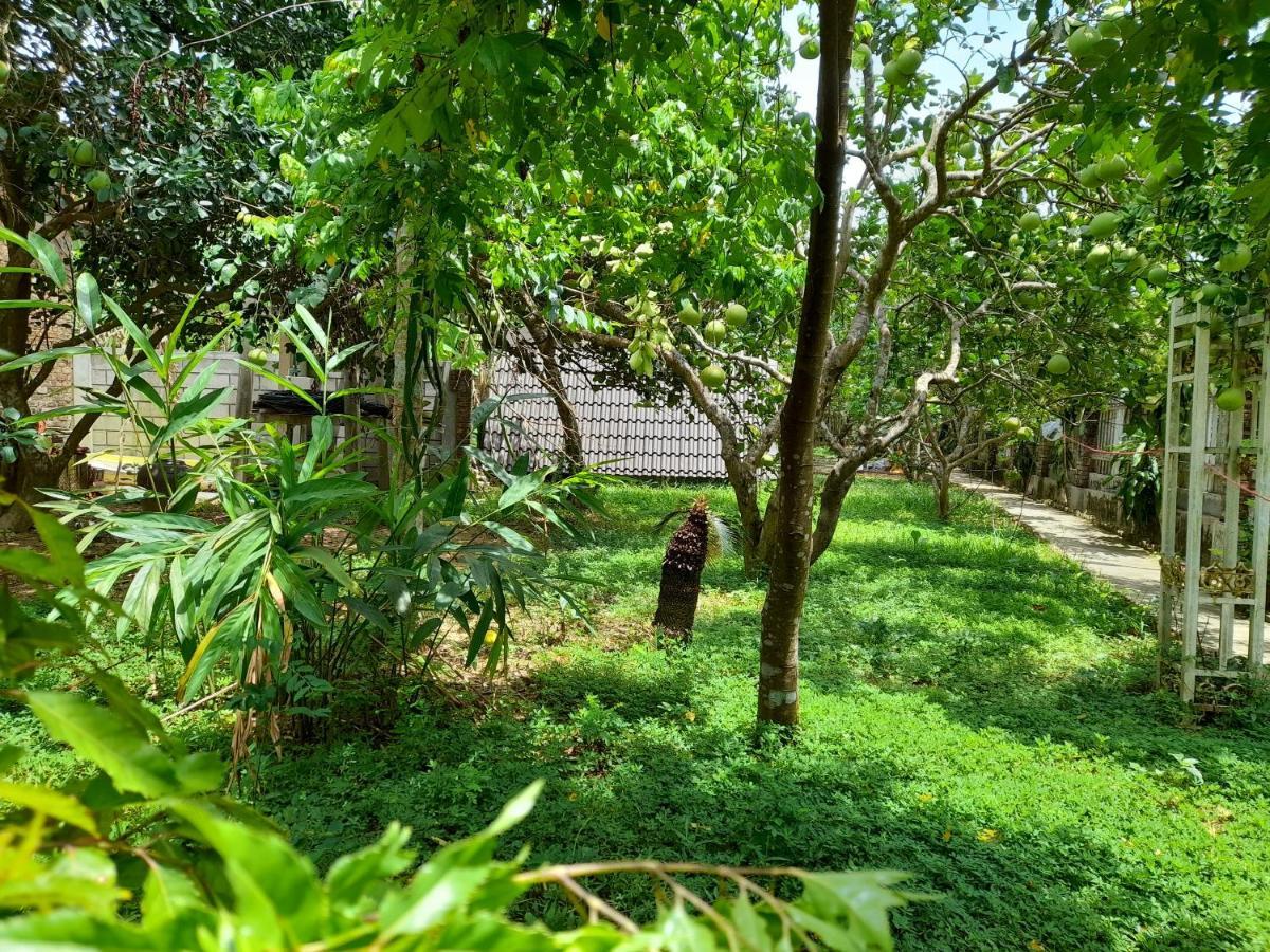 Tam Tinh Vien Homestay Хюе Екстер'єр фото
