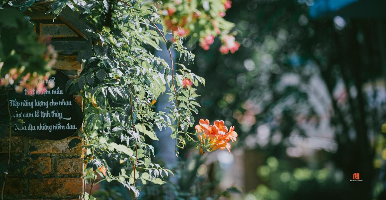 Tam Tinh Vien Homestay Хюе Екстер'єр фото
