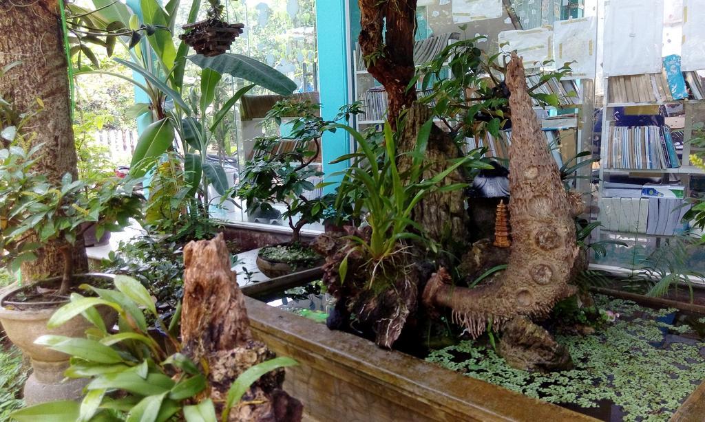 Tam Tinh Vien Homestay Хюе Екстер'єр фото