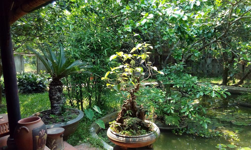 Tam Tinh Vien Homestay Хюе Екстер'єр фото