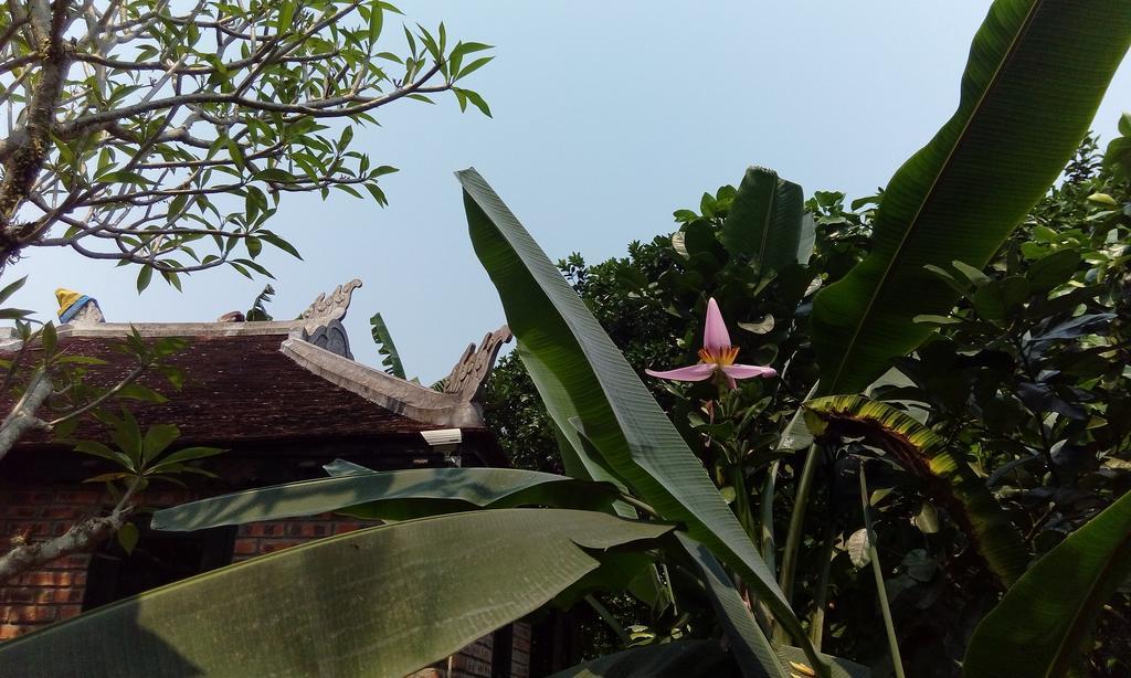 Tam Tinh Vien Homestay Хюе Екстер'єр фото