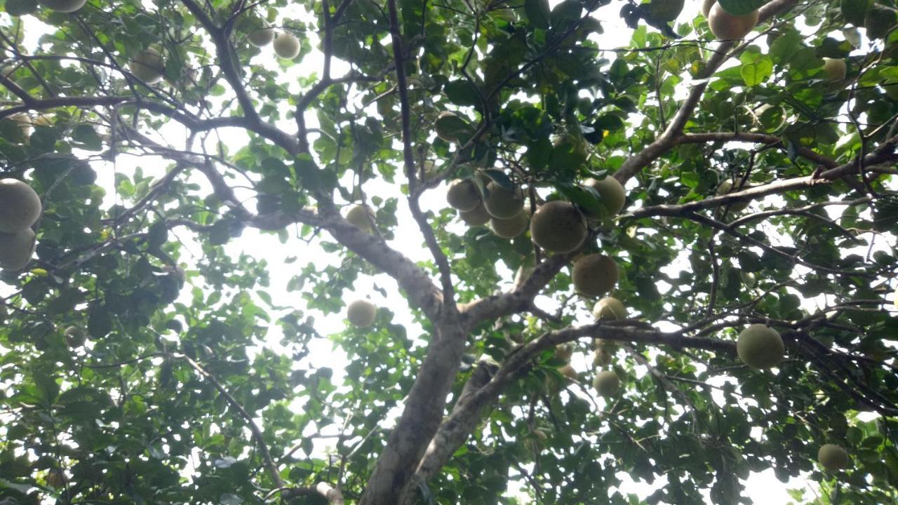 Tam Tinh Vien Homestay Хюе Екстер'єр фото
