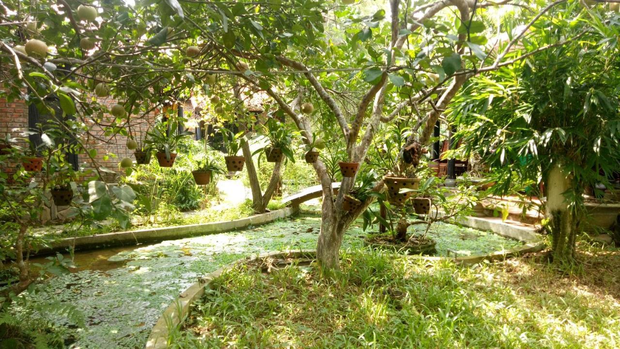 Tam Tinh Vien Homestay Хюе Екстер'єр фото